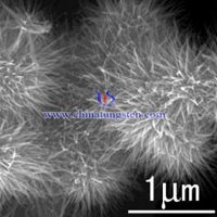 sea urchin like VTO SEM image