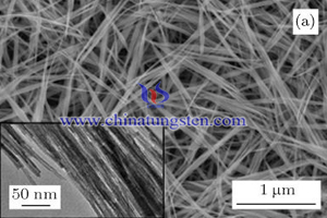 tungsten oxide nanowires SEM image